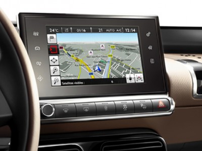 C4Cactus_miniature_03