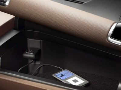 C4Cactus_miniature_01