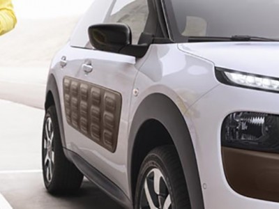 C4Cactus_miniature_02