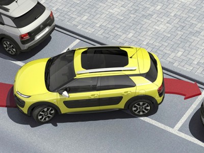 C4Cactus_miniature_04