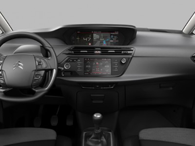 C4Picasso_miniature_01