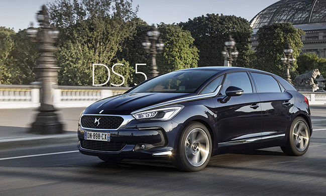 ds5 miniature