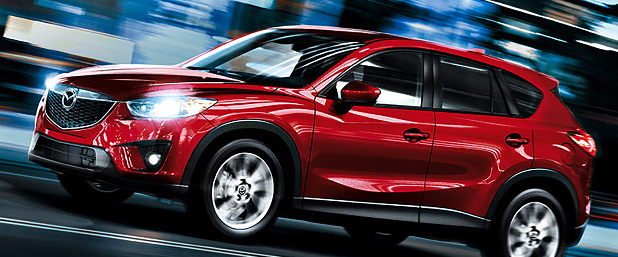 picsum3.jpg picsum3.jpg