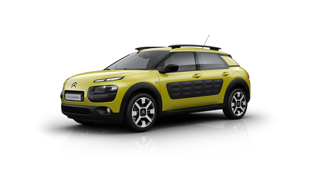 C4Cactus_miniature_grande